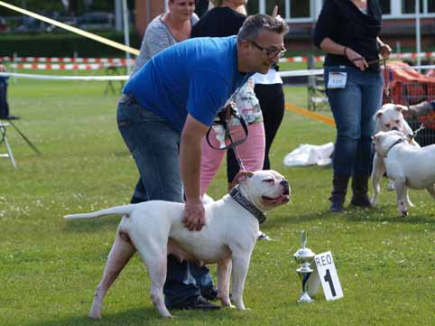 Zomershow 15 juni 2013 